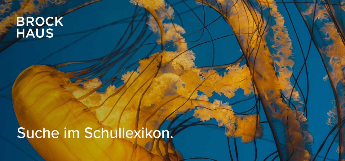 Banner: Schullexikon