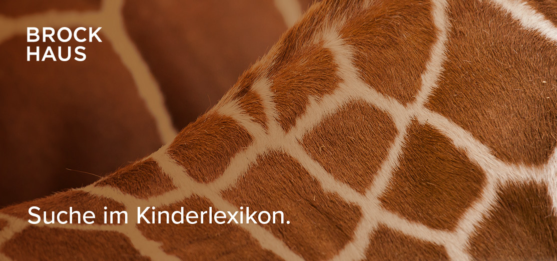 Banner: Kinderlexikon