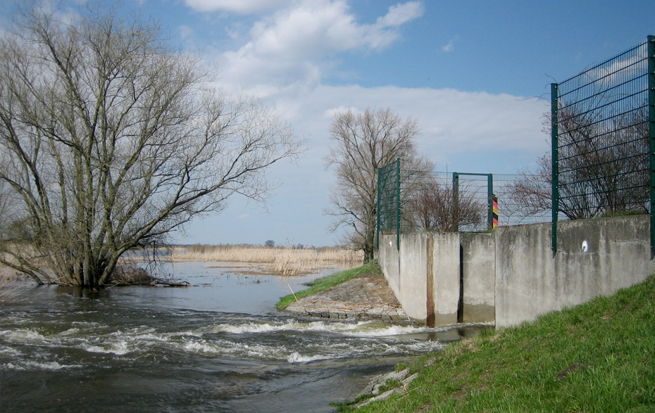 Foto: Wasser fließt durch das geöffnete Wehr in die Aue.