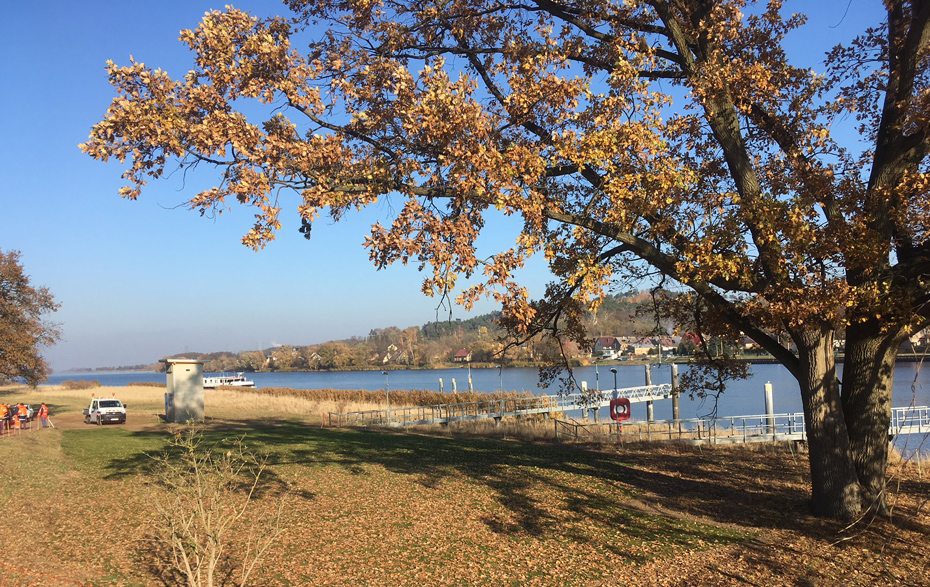 Foto: Blick auf die Oder