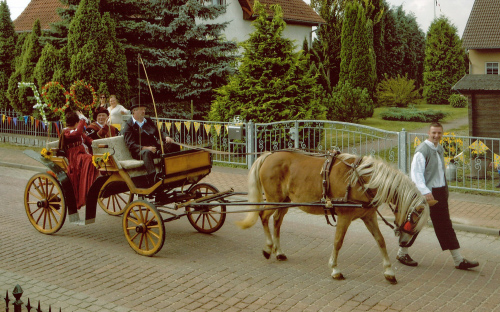 Foto: Kutsche mit einer großen 700