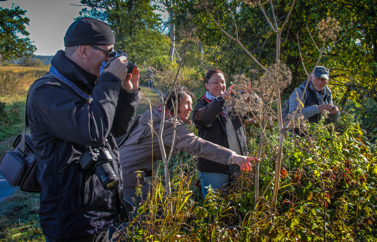 Foto: Fototour in die Wildnis