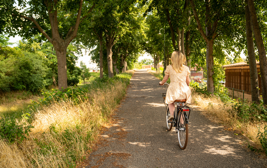 Foto: Fahrradfahrende Frau von hinten im Grünen