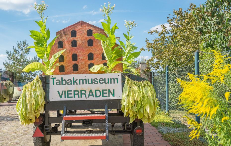 Miniatur Tabakmuseum Vierraden