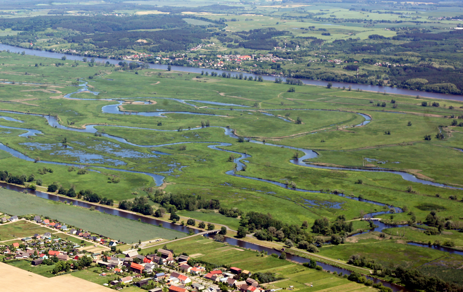 Foto: Blick ins untere Odertal