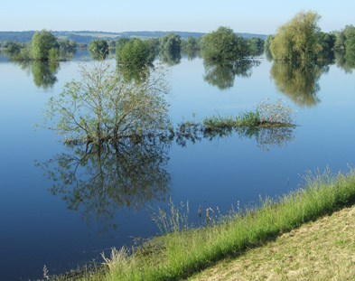 Foto: geflutetes Poldergebiet