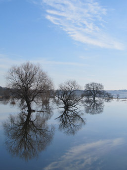 Foto: geflutete Aue