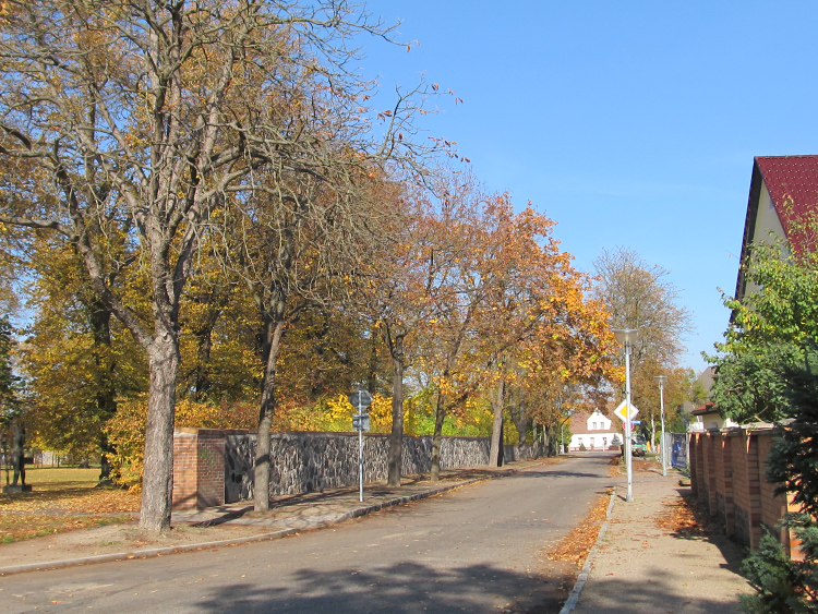 Foto: Blick in die herbstliche Straße