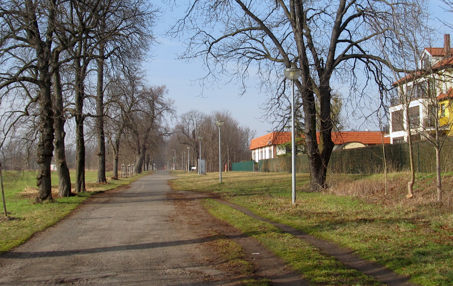 Foto: Allee mit unsaniertem Weg