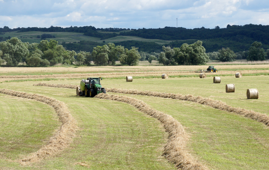 Foto: Landwirtschaft im Nationalpark