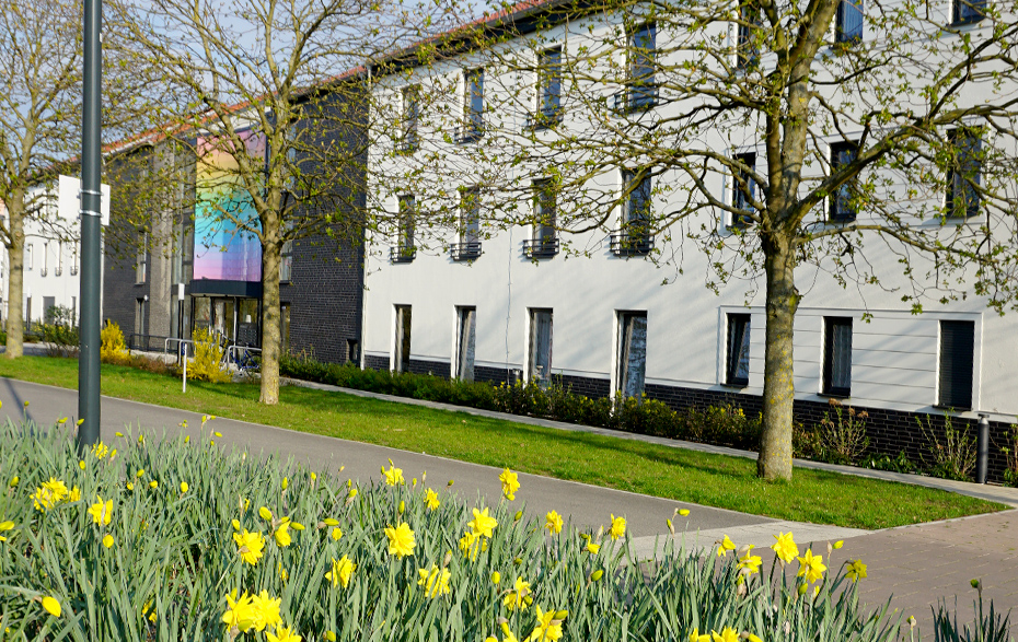 Foto: Wohnhaus mit Regenbogenfassade und gelben Narzissen davor