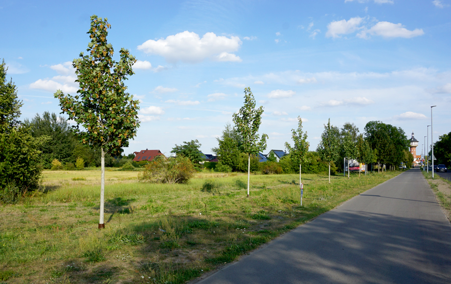 Foto: Heinersdorfer Damm mit Blick auf den Wasserturm