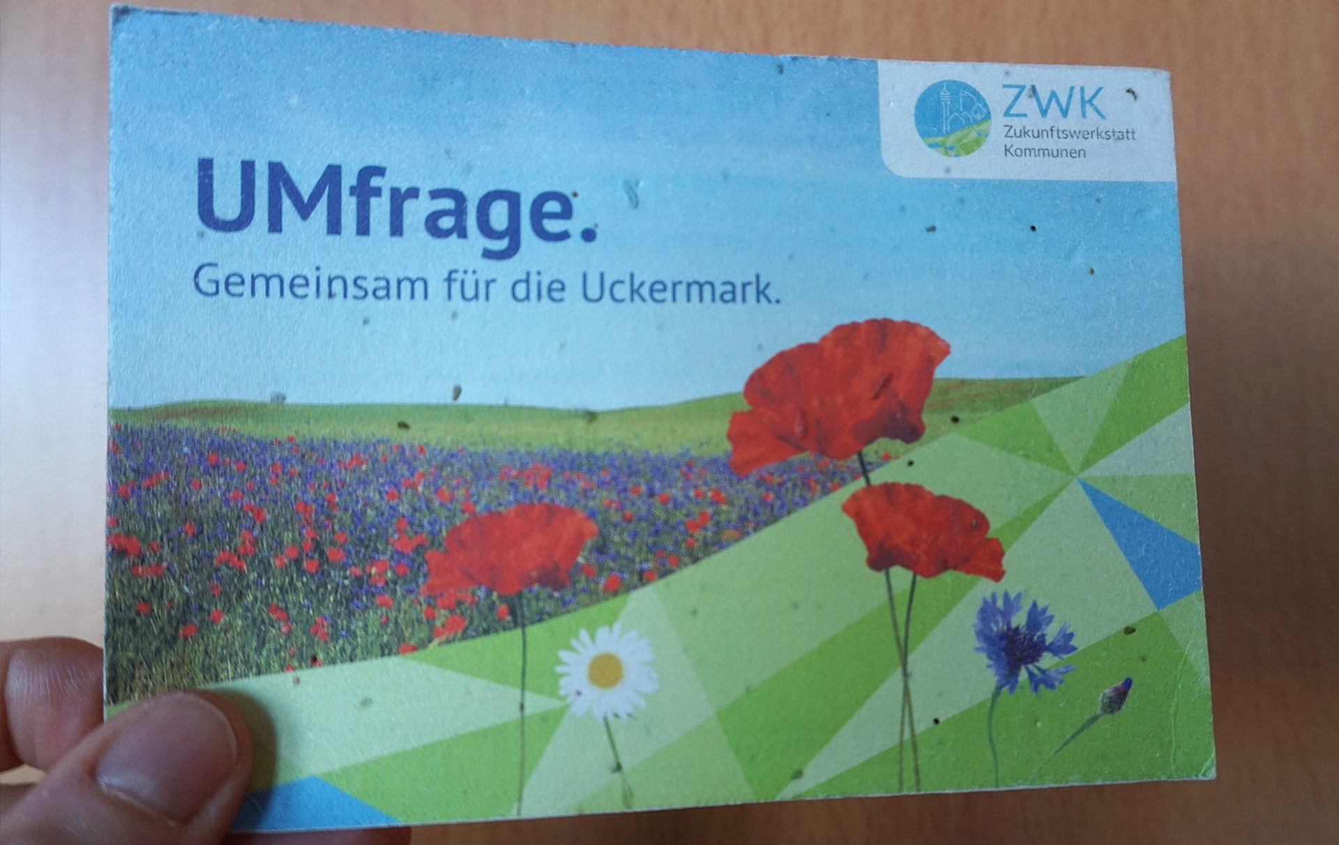 Foto: bunte Postkarte in der Hand