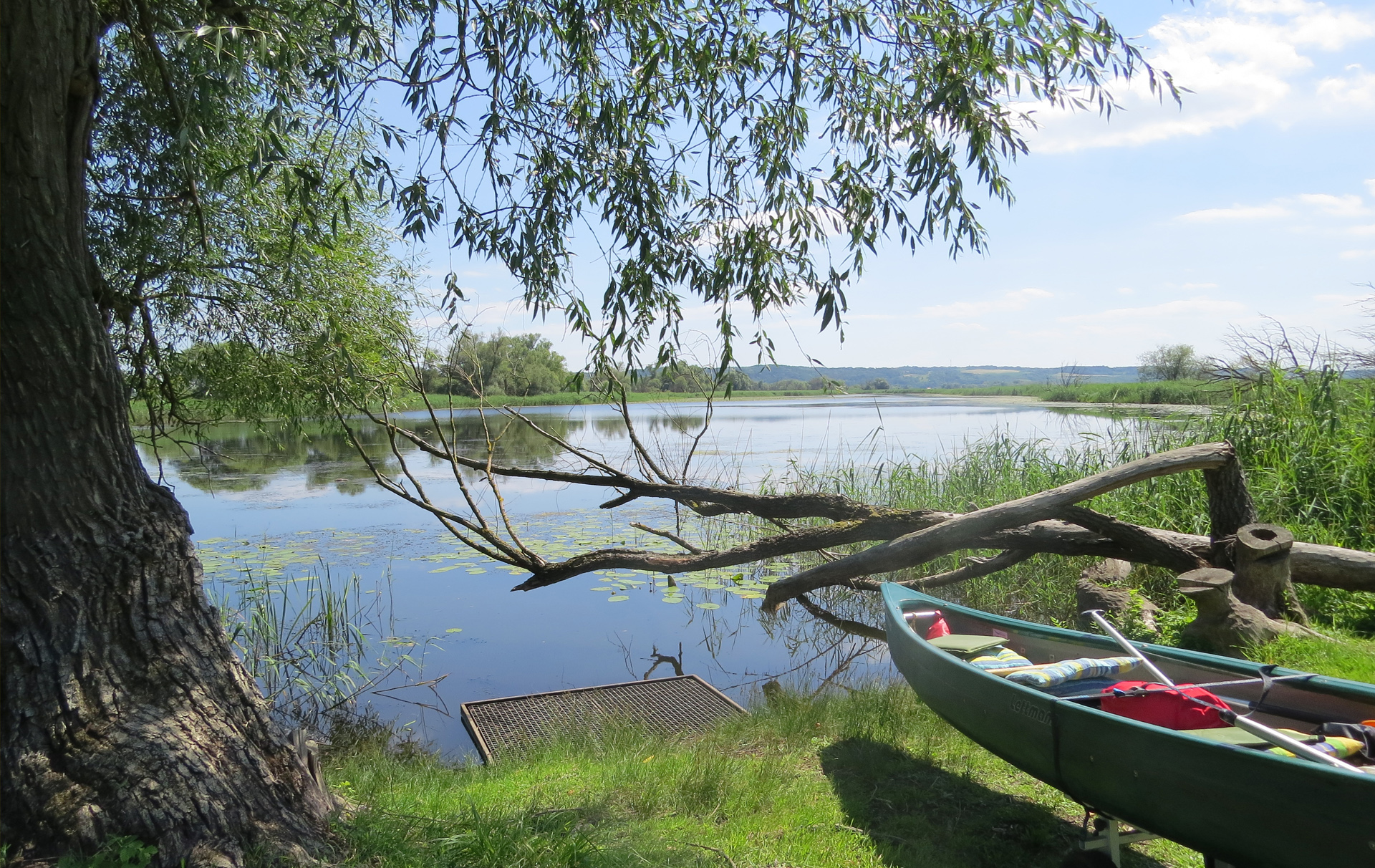 Foto: Wasserlandschaft mit Boot und Steg