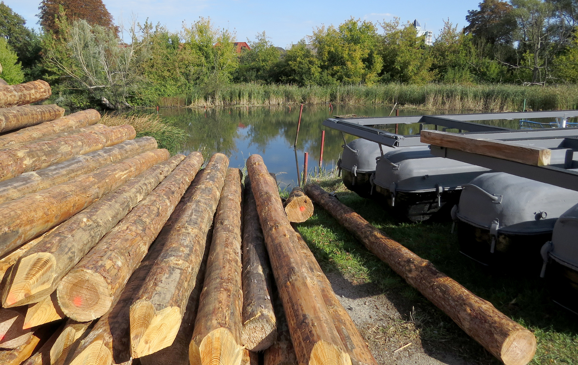 Foto: verschilfter Hafen Foto: verschilfter Hafen