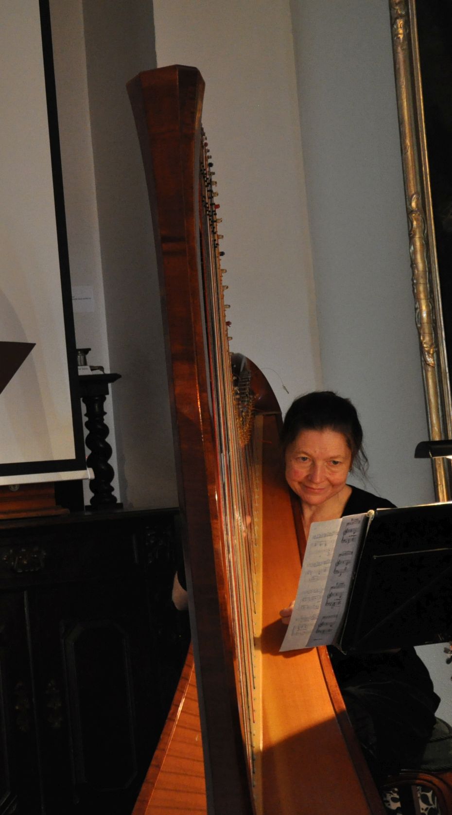 Frau mit Instrument