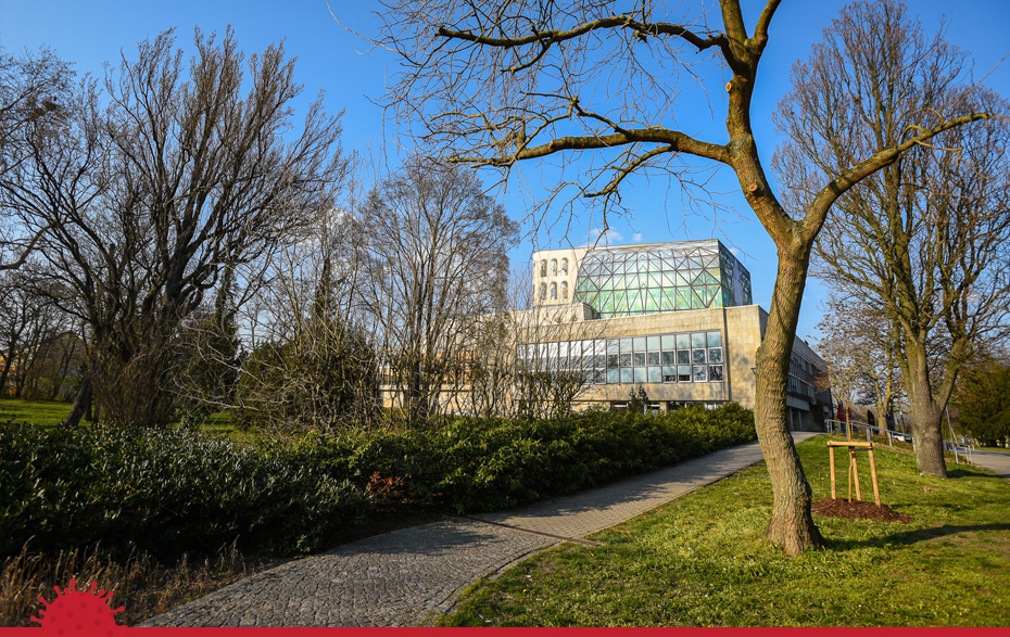 Foto: Park im Frühling