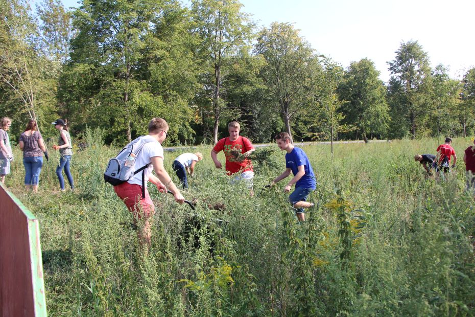 Foto: Schüler bei der Arbeit auf der Wiese