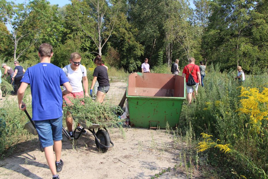 Foto: Schüler bei der Arbeit auf der Wiese