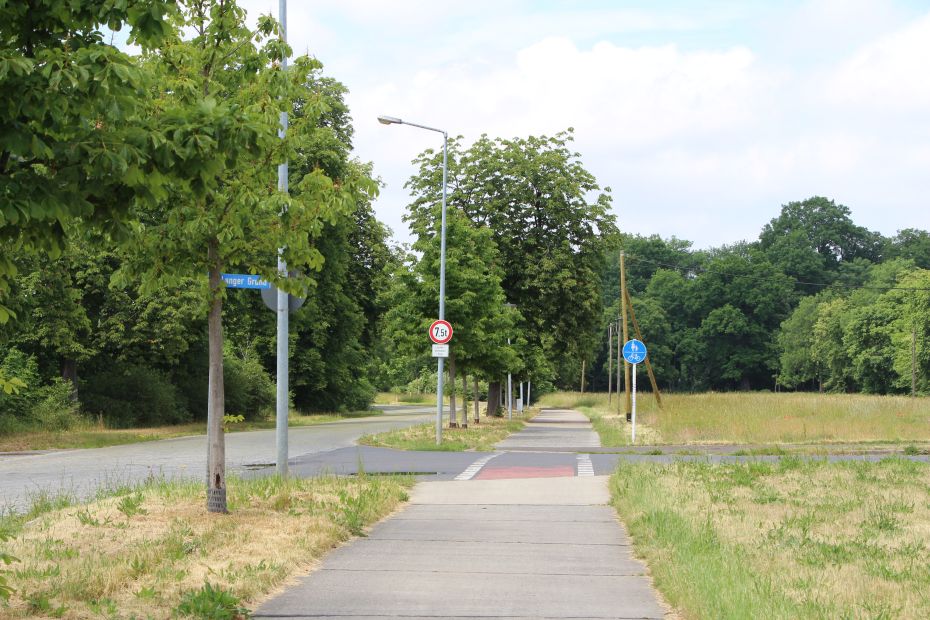 Foto: Radweg mit dem Abzweig Langer Grund