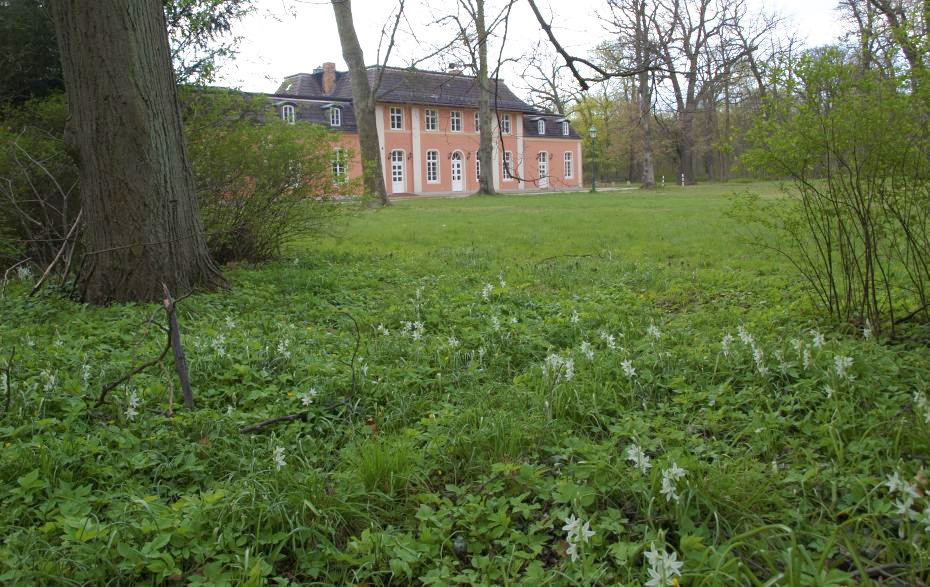 Blick über eine Wiese mit Blumen auf ein kleines Schloss