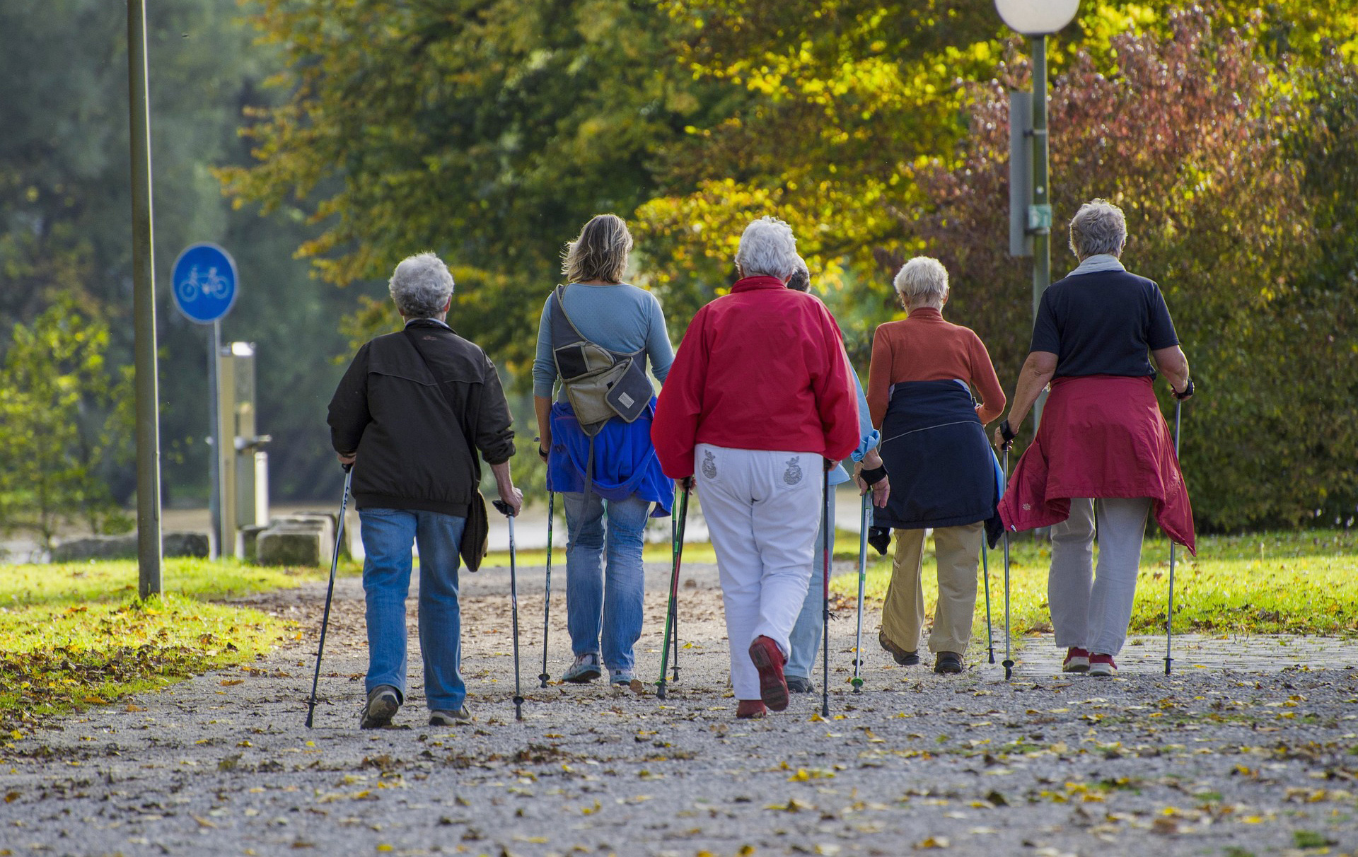 Foto: Gruppe beim Nordic Walking in herbstlicher Landschaft Foto: Gruppe beim Nordic Walking in herbstlicher Landschaft