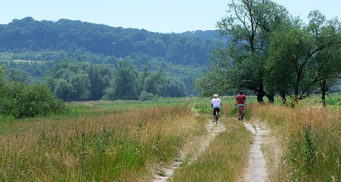 Foto: Radwanderer im Poldergebiet