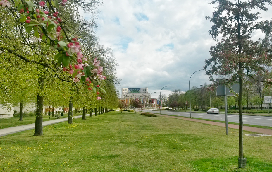 Foto: Lindenallee mit Theater