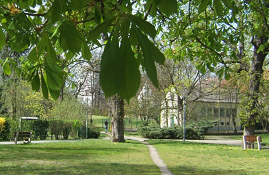 Foto: Blick in den Park auf den verdeckten Fundamentblock