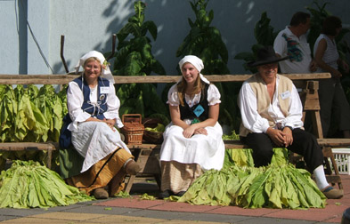 Foto: 3 Tabakbauern in Tracht mit Tabakblättern