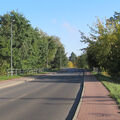 Foto: Brücke über die alte Welse (Kuhheide)