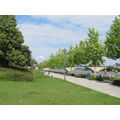 Foto: Promenade mit Stadtbrücke