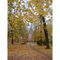 Foto vom 29. Oktober 2004: Der Stadtpark im Herbst