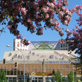 Foto vom 9. Mai 2013: rosablühende Zweige vor der bemalten Bühnenturmfassade