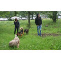 Foto: 2 Menschen und 3 Hunde