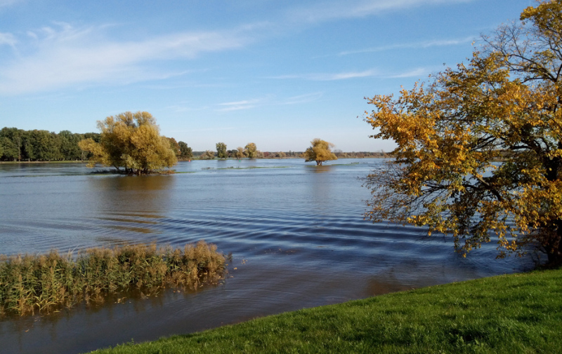 Foto: Oderlandschaft