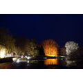 Foto: Farbiges Licht beleuchtet die Parklandschaft