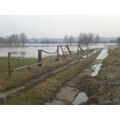 Foto vom 15. März 2011: Polderwiesen fast eisfrei