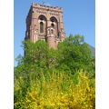 Foto vom 24. April 2011: Blick auf den Turm der evangelischen Kirche, davor Gehölze