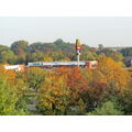 Foto vom 19. Oktober 2011: Blick auf vom Herbst gefärbte Baumkronen und Dach eines Mehrzweckgebäudes mit Mast eines Fast-Food-Restaurants