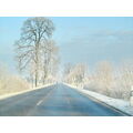 Foto vom 26. Januar 2012: Allee im weißen Winterkleid