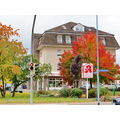 Foto vom 15. Oktober 2012: herbstliches Stadtgrün vor dem Gebäude