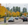 Foto vom 17. Oktober 2012: Herbstbäume an der Bundesstraße