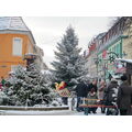 Foto: Schnee auf den Tannen und Dächern