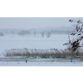 Foto vom 30. Januar 2010: Blick ins untere Odertal