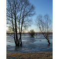 Foto vom 4. März 2010: Wasserfläche mit Eisresten