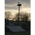 Foto vom 9. April 2010: Storch auf dem Nest