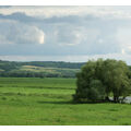 Foto vom 25. Juli 2010: Polderwiese mit Weide, polnische Hügeln im Hintergrund und Wolken