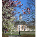 Foto vom 15. April 2011: rosa und weiß blühende Äste im Vordergrund, der Berlischky-Pavillon im Hintergrund