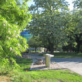 Foto vom 25. Mai 2012: Blick in den Park auf den Steinernen Weg